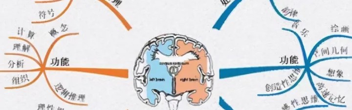 kaiyun-麻省理工最新研究：父母多和娃聊天，能让大脑发育更好，更聪明