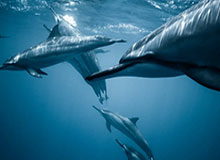 开云体育官网-信他错了吗？上港新独王破荒也是罪臣 需改变一点